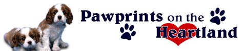 Paw Prints on the Heartland: A Heartwarming Pet Memoir